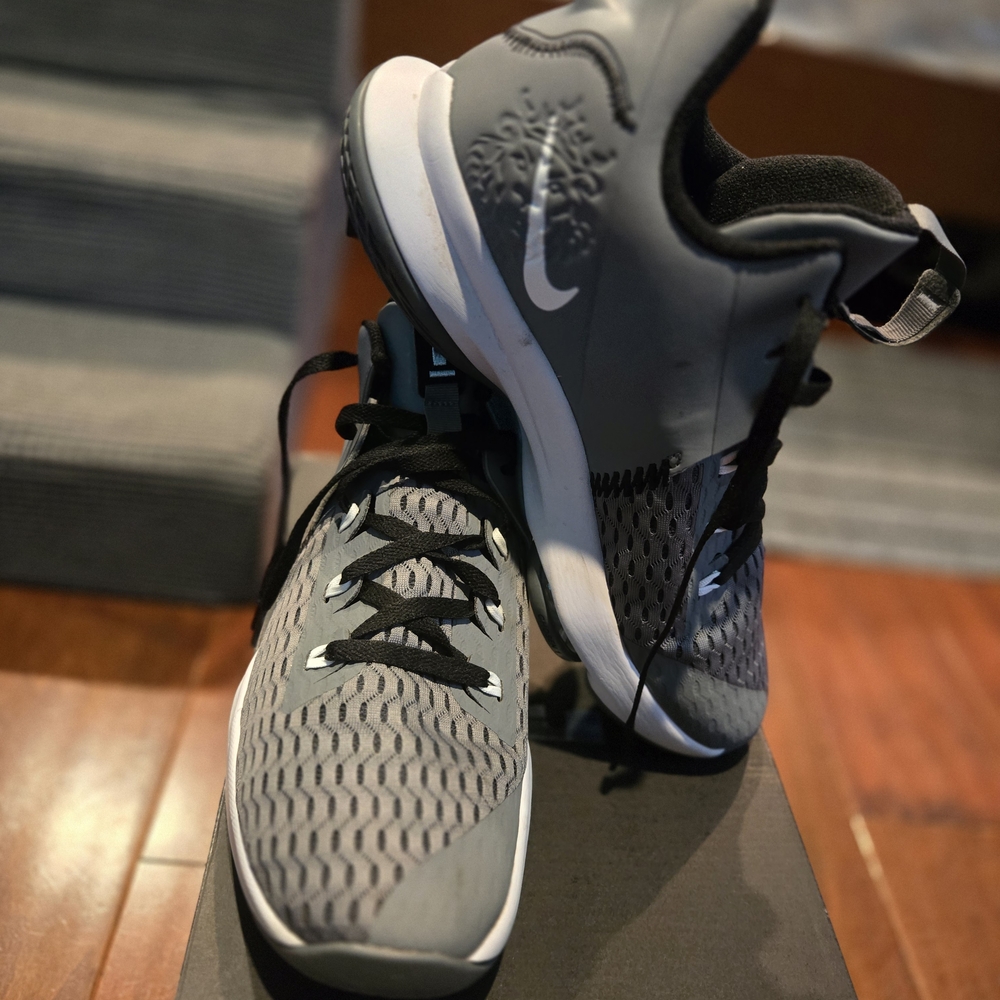 Lebron Witness Nike Gray and Black Running Shoes